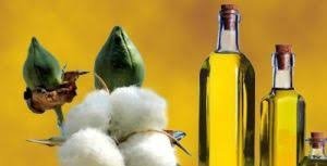 Organic Cottonseed Oil
